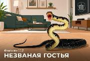 Незваная гостья