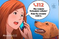 «Потерялась собака!»